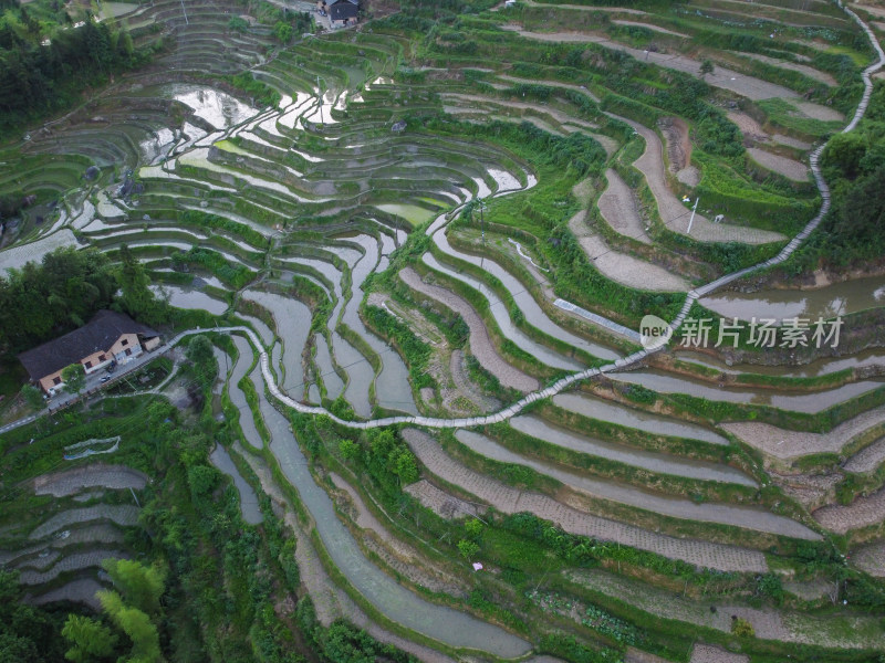 农村梯田风光