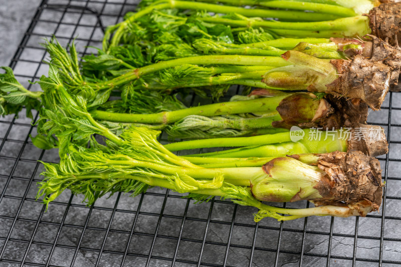 绿色野菜刺嫩芽