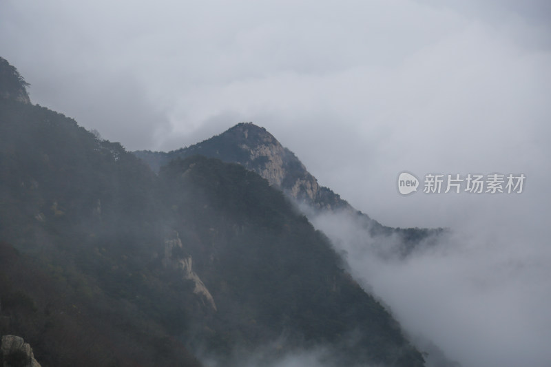 云海 山峰 山峦 山东 泰山