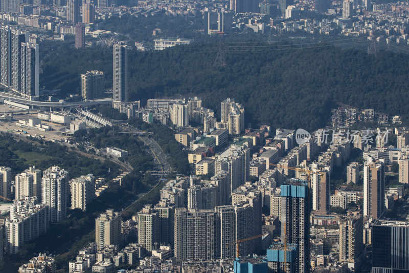 深圳梧桐山看深圳市区