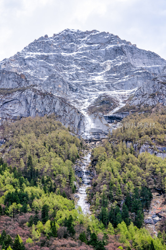 四川阿坝四姑娘山双桥沟景区的山区植被