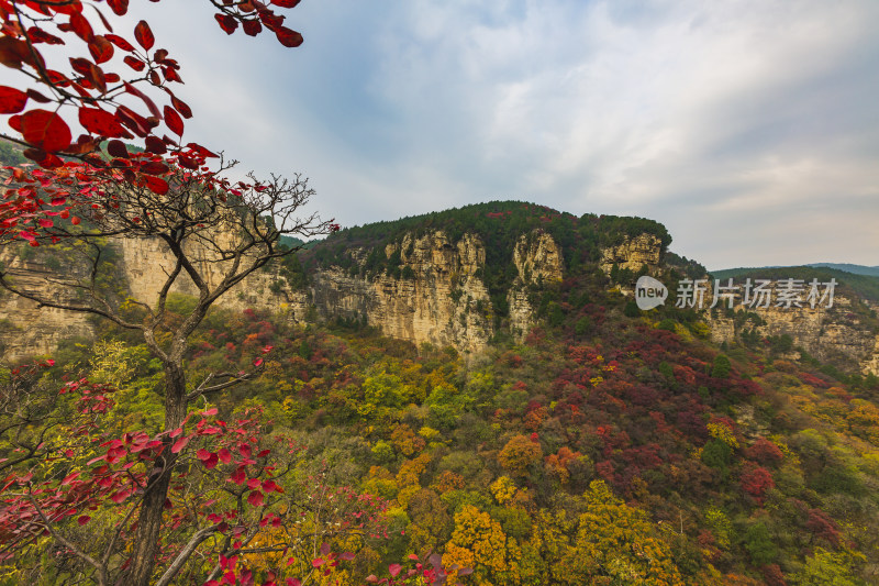 山东济南龙洞景区秋天秋色航拍