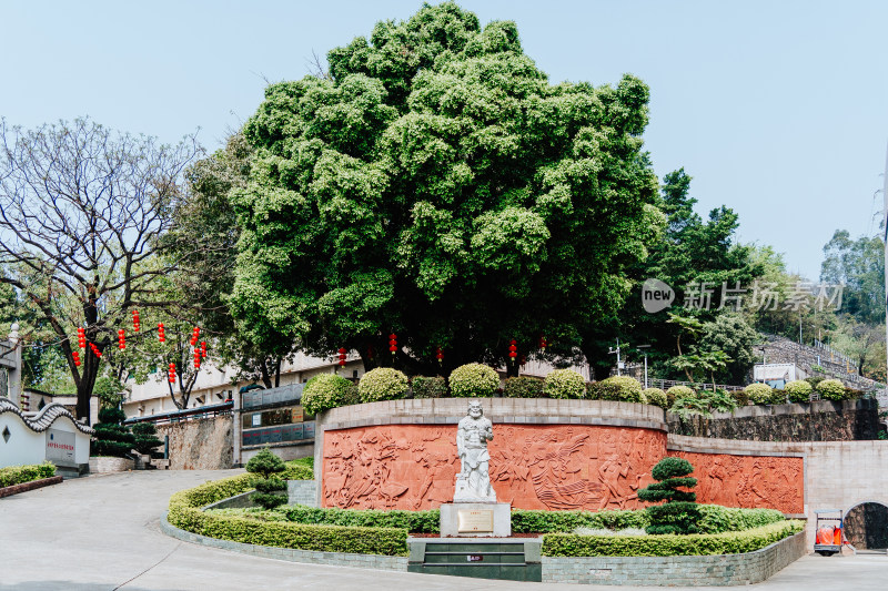 广州神农草堂中医药博物馆