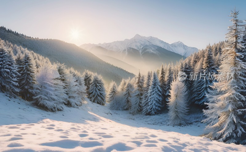 冬季森林白雪覆盖风景