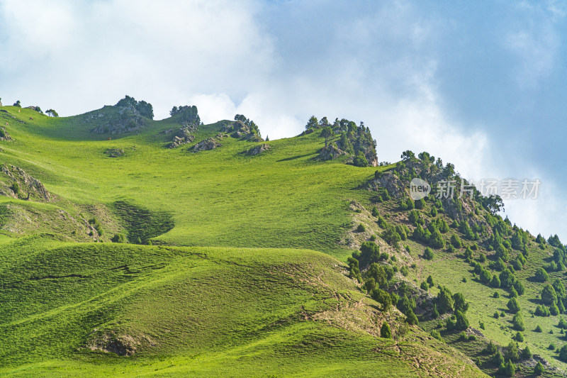 青海祁连县卓尔山景区，夏季起伏的高山牧场