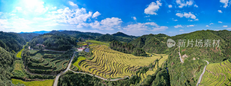 美丽乡村田园油菜花航拍全景图