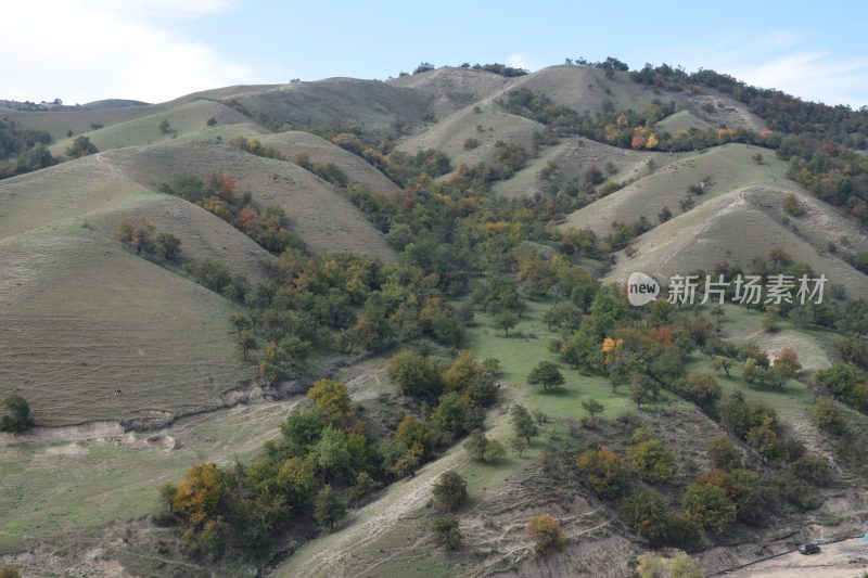 中华福寿山 霍城 伊犁 景观 美丽