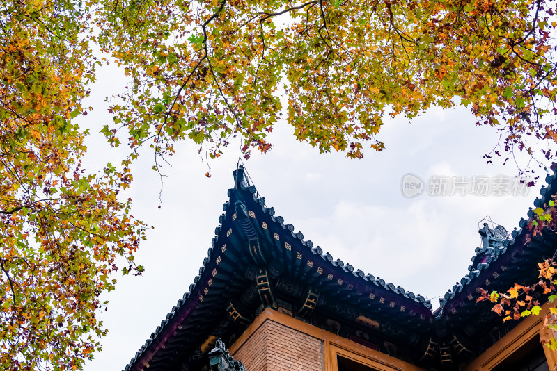 南京钟山风景名胜区美龄宫旧址建筑