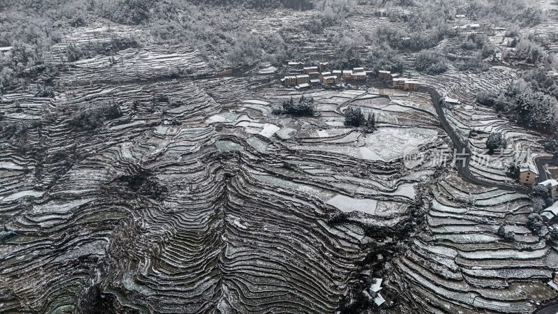 重庆酉阳：大雪纷飞赏雪忙