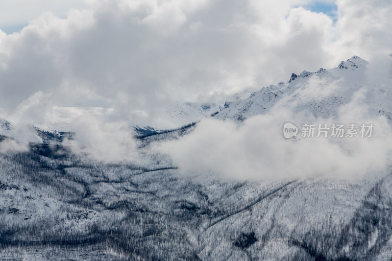 落基山的雪山