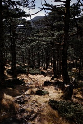 大理苍山洗马潭景区