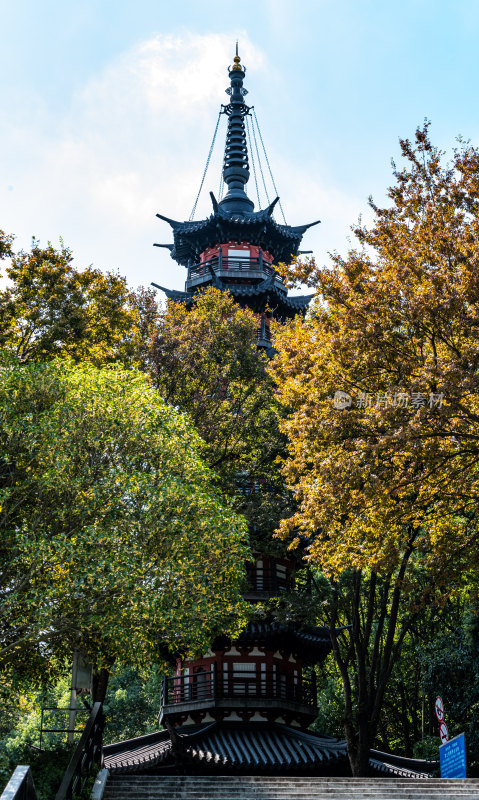 上海松江佘山森林公园自然建筑景观