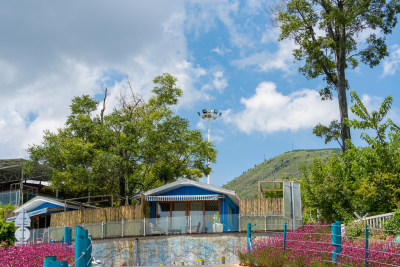 户外蓝顶小屋景观，周边绿树繁花环绕