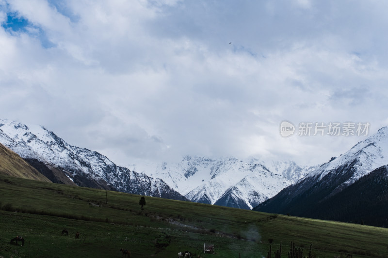 新疆夏塔雪山草原绝美震撼风光