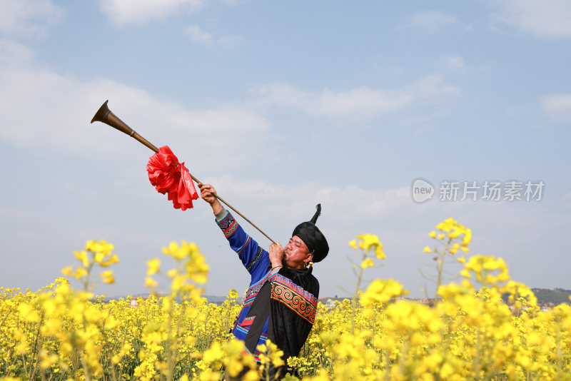 油菜花开春意浓 美丽乡村入画来