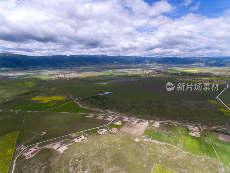 藏地乡村民居油菜花航拍全景图