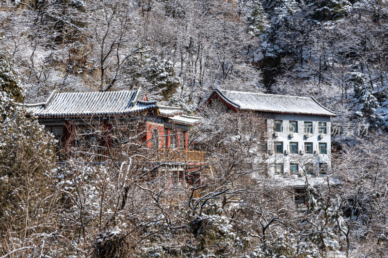 山东泰安泰山风景区雪景自然景观