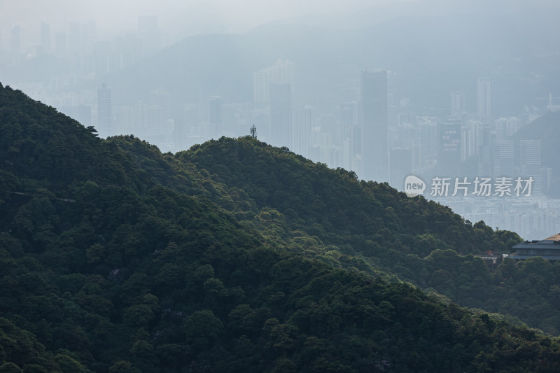 深圳梧桐山