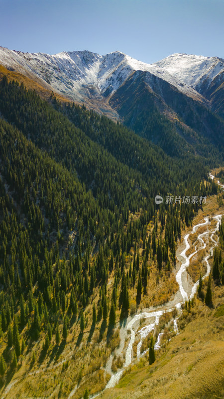 航拍雪山森林河谷自然风景