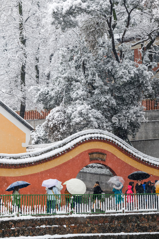 湖南大学雪景