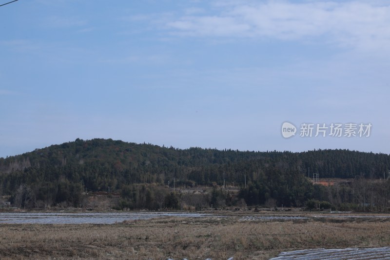 开阔田野边植被茂盛的山坡风景