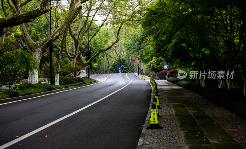 杭州西湖杨公堤道路春色景观