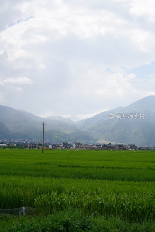 田野乡村与远山风景