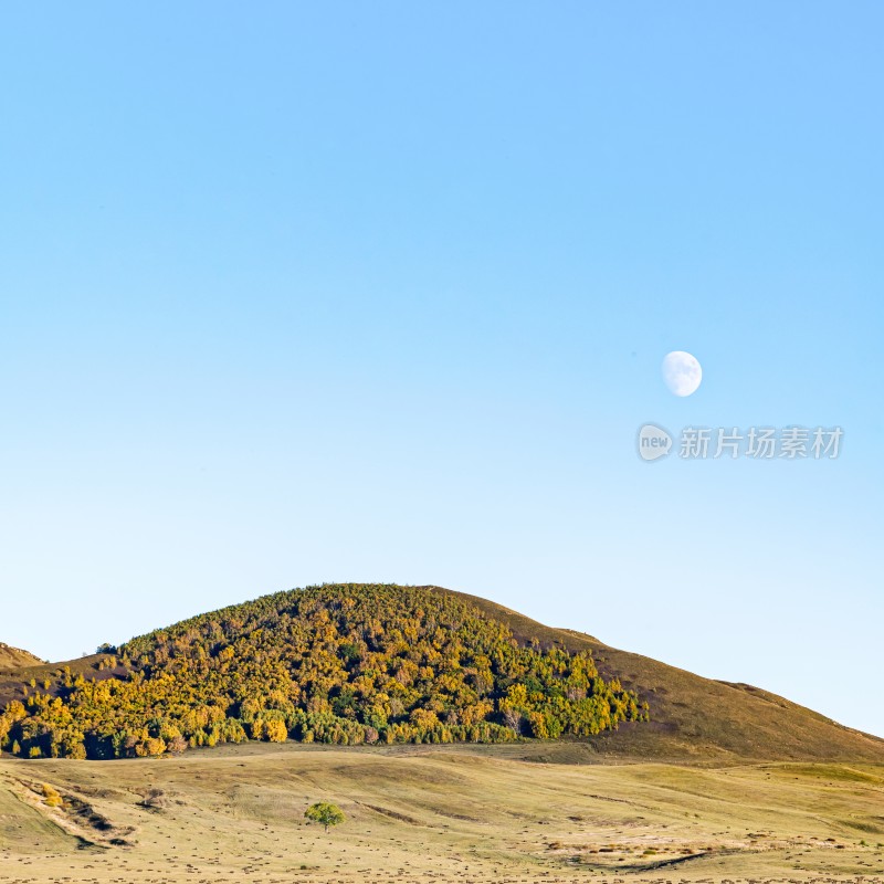 山丘树林与空中明月景象