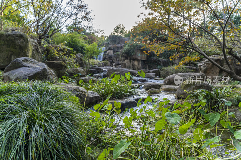 杭州西子湖畔杭州花圃风景