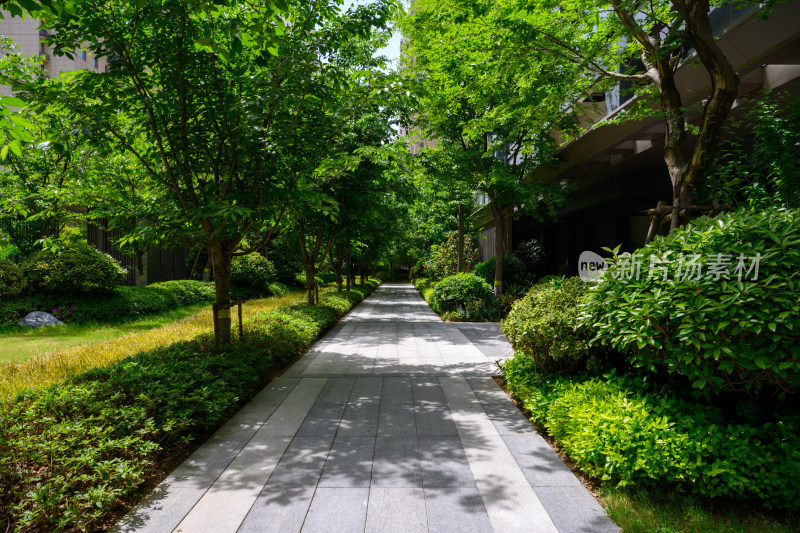 夏季白天商业住宅小区内部景观