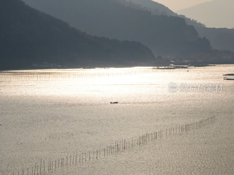 福建宁德霞浦县城红树林涂滩高空航拍