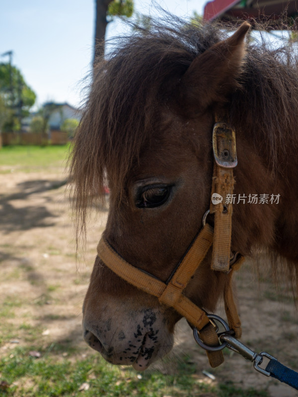 武汉蔡甸花博汇中法生态城