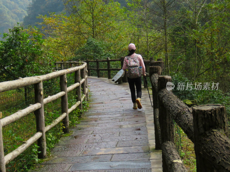 湖南张家界武陵源国家森林公园旅游风光