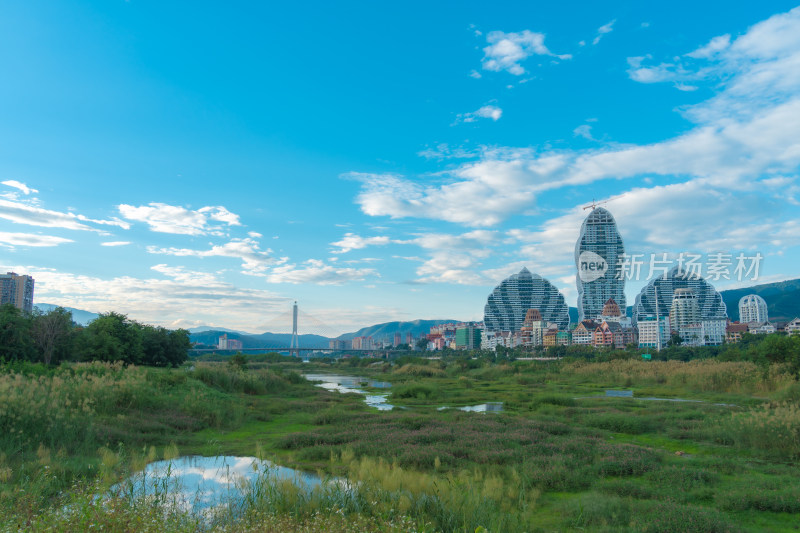 城市里的湿地