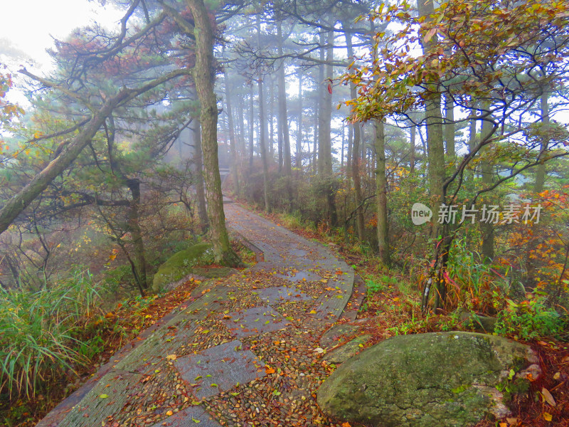 中国江西九江庐山旅游风光