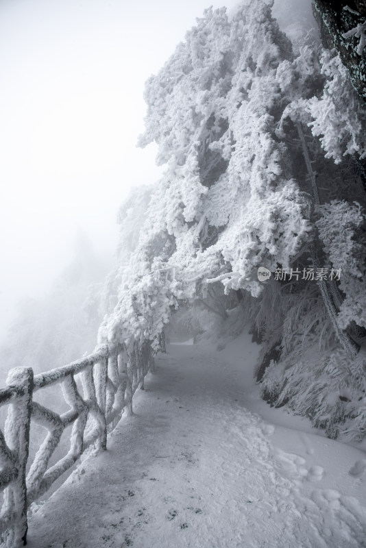 寒冷冬季景区雪后栈道