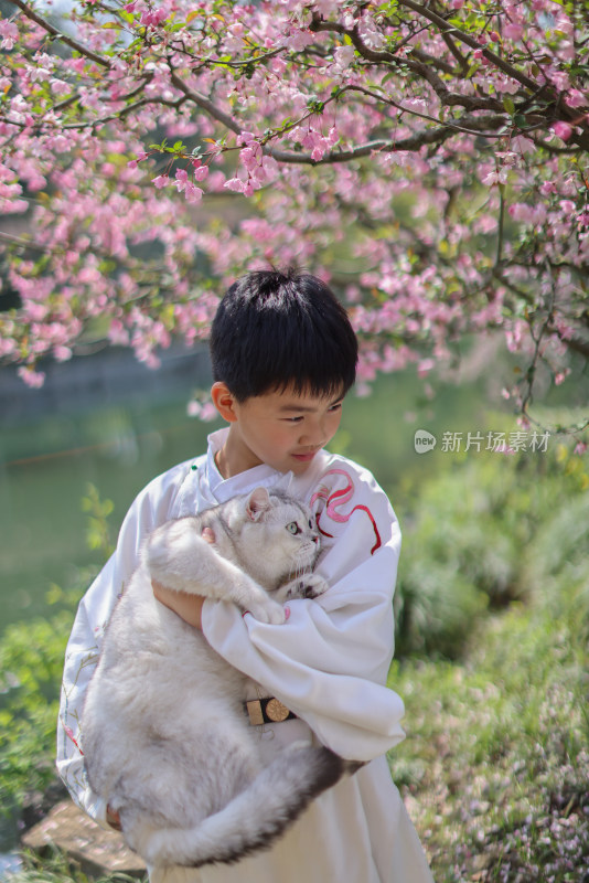 穿着汉服的小男孩和宠物猫在公园赏花