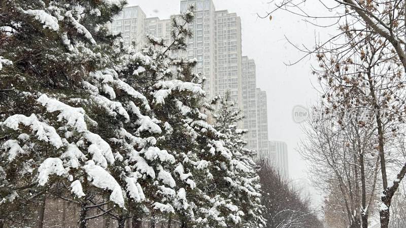 冬日雪景