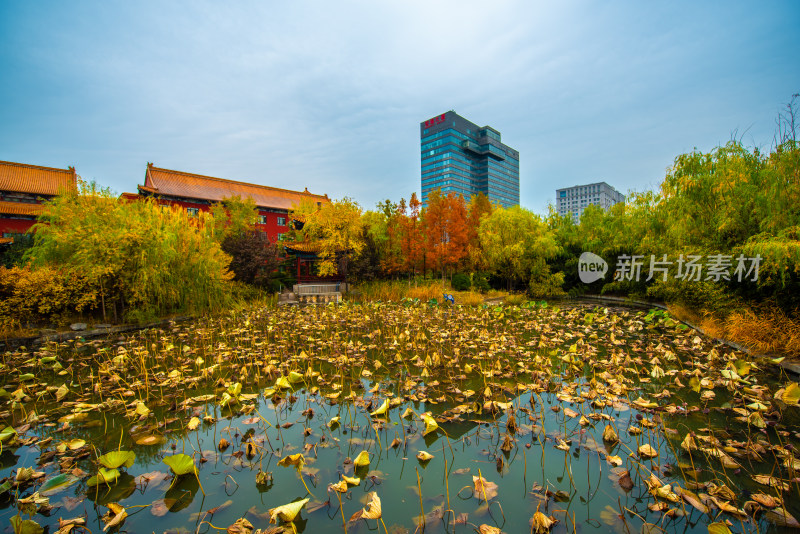 中式建筑旁池塘秋景