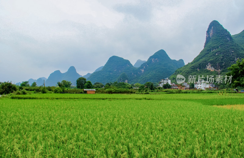 桂林阳朔遇龙河风光