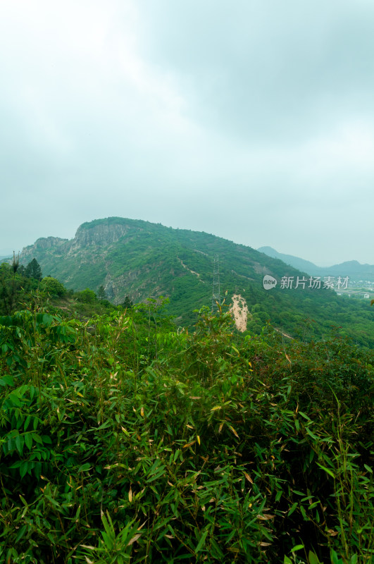 山中的自然风景