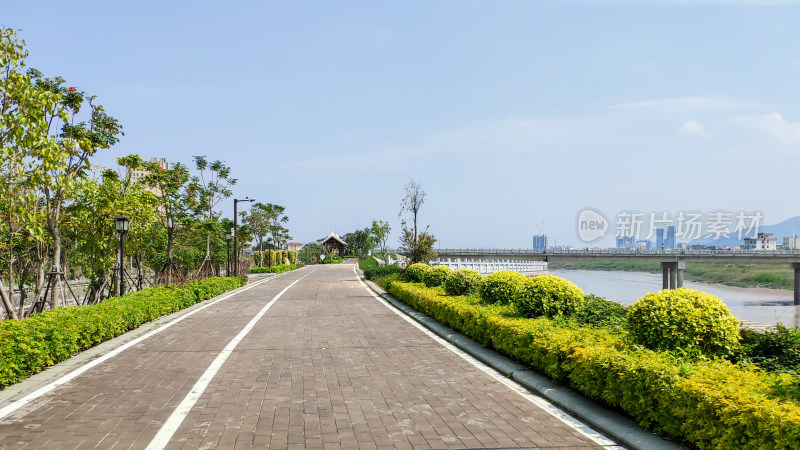 河畔绿植环绕的步道风景