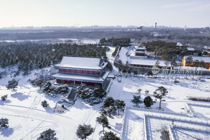 龙华寺雪景航拍