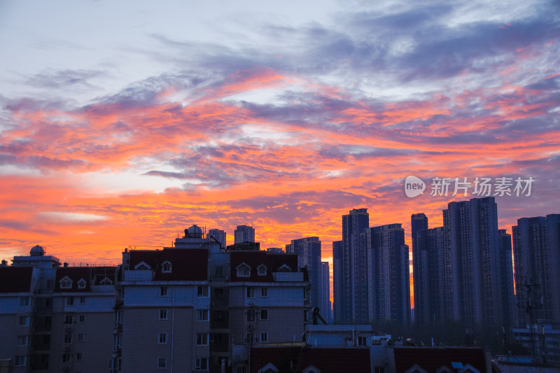 朝霞映照下的城市剪影