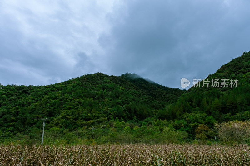 汉中留坝火烧店镇秦岭深处的山村田园风光