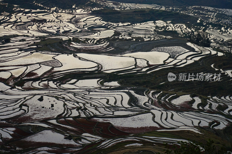 红河元阳梯田，大瓦遮梯田，日落时分