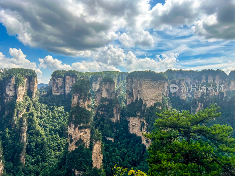 中国湖南张家界景区奇特山峰与茂密森林