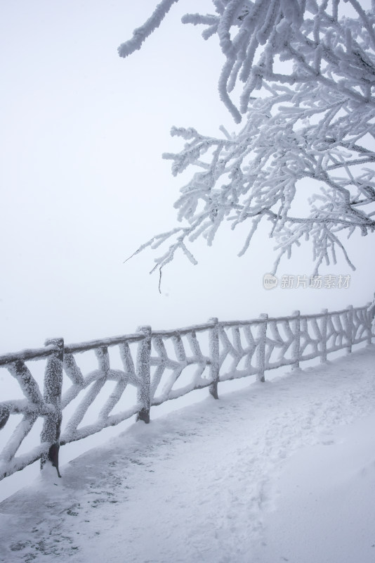 寒冷冬季景区雪后栈道