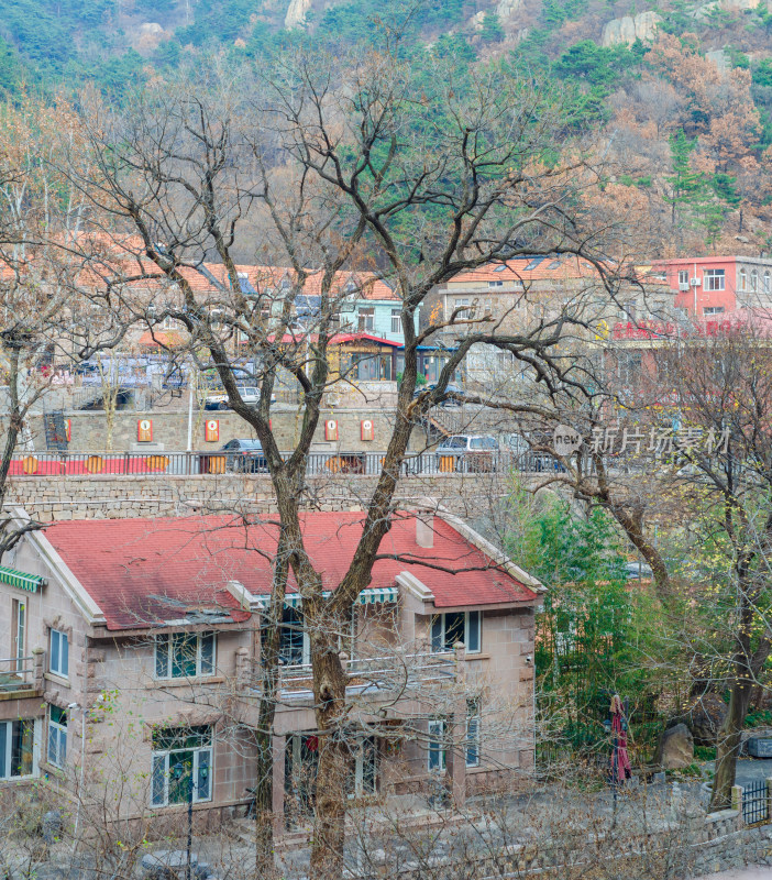 山东青岛崂山北九水风景区，秋季时的树木