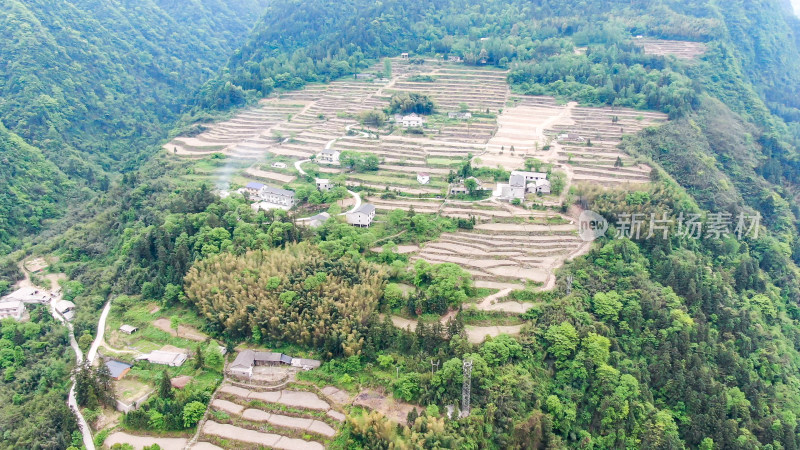 航拍美丽乡村田园农业种植